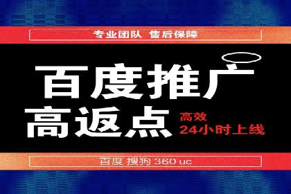 百度竞价包年服务：某行业领导品牌的成功故事
