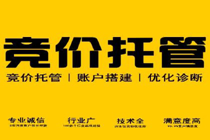 SEM竞价开户策略：案例解析与优化
